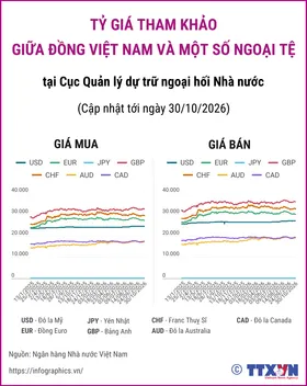 (Interactive) Tỷ giá tham khảo giữa Đồng Việt Nam và một số ngoại tệ ngày...